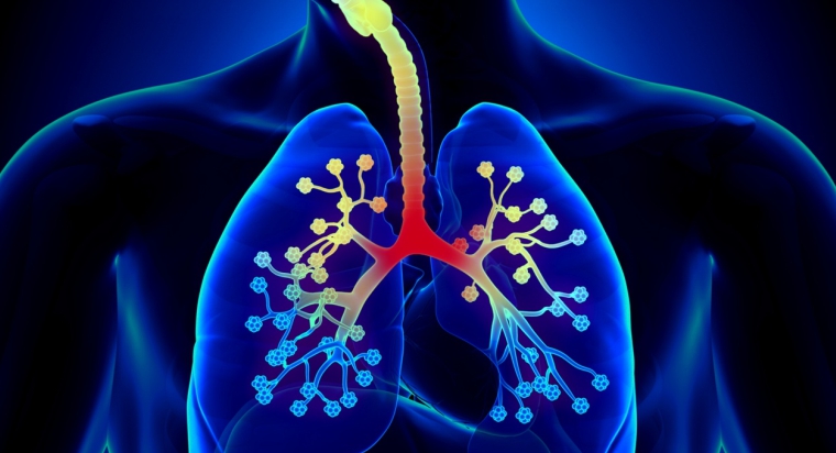 Frequently Asked Questions about Bronchitis